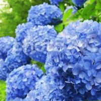 北九州近郊の30代~50代集まれ