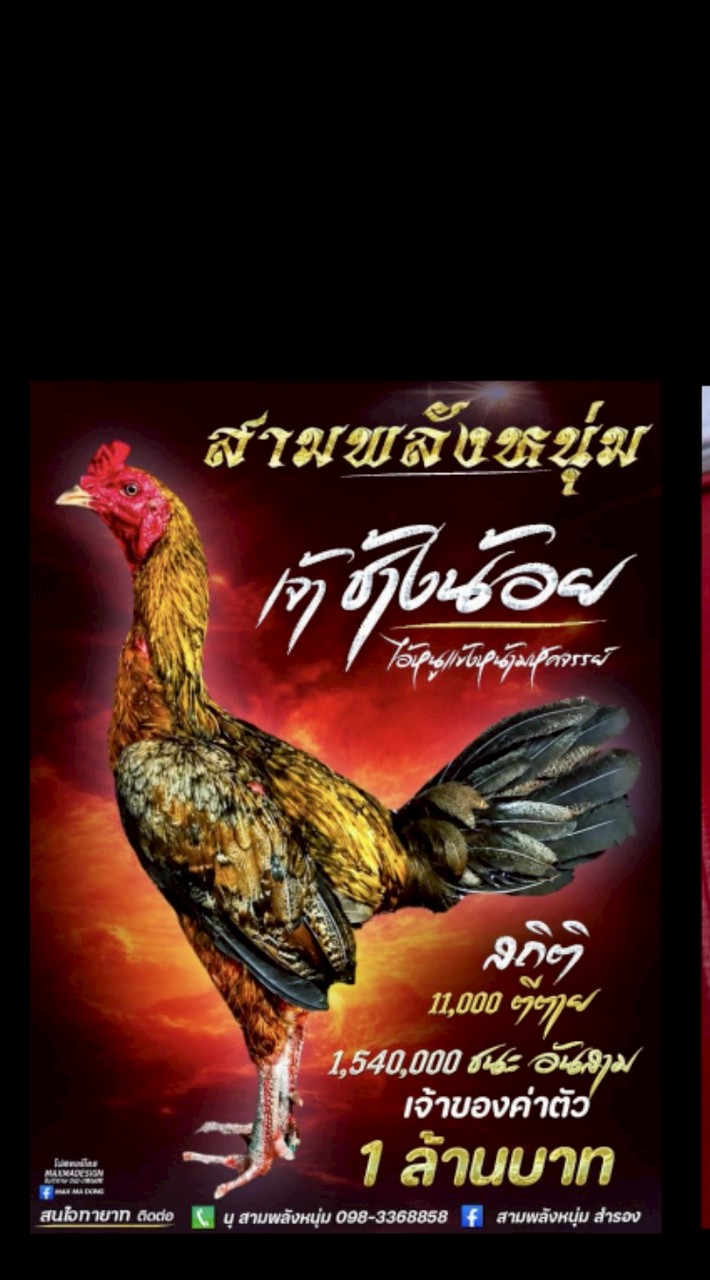 กลุ่ม ฝากผสมช้างน้อย