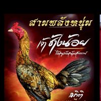 กลุ่ม ฝากผสมช้างน้อย