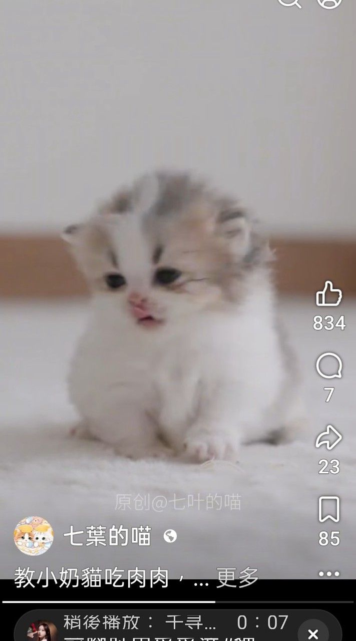 美善晨舞
