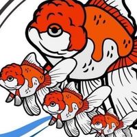 รุ่งมณีฟาร์ม 🐟 ปลาสวยงามคุณภาพ