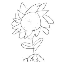 "新"総合オプ