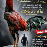 ฝากผสม พยัคฆ์ร้าย007 มะขามเฒ่าฟาร์ม