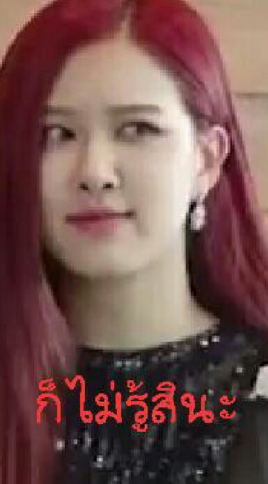 มีมไอดอล
