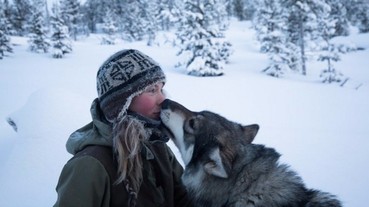 【萌寵特輯】地球上最美的風景 女孩與她的 85 隻雪橇犬！