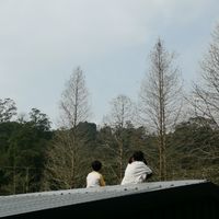 903國文--109虎林國中