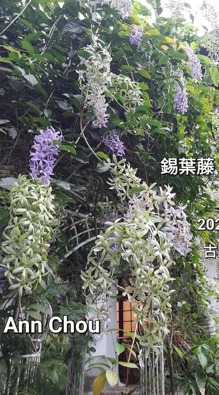 悠活慢活綠色天地