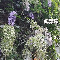 悠活慢活綠色天地