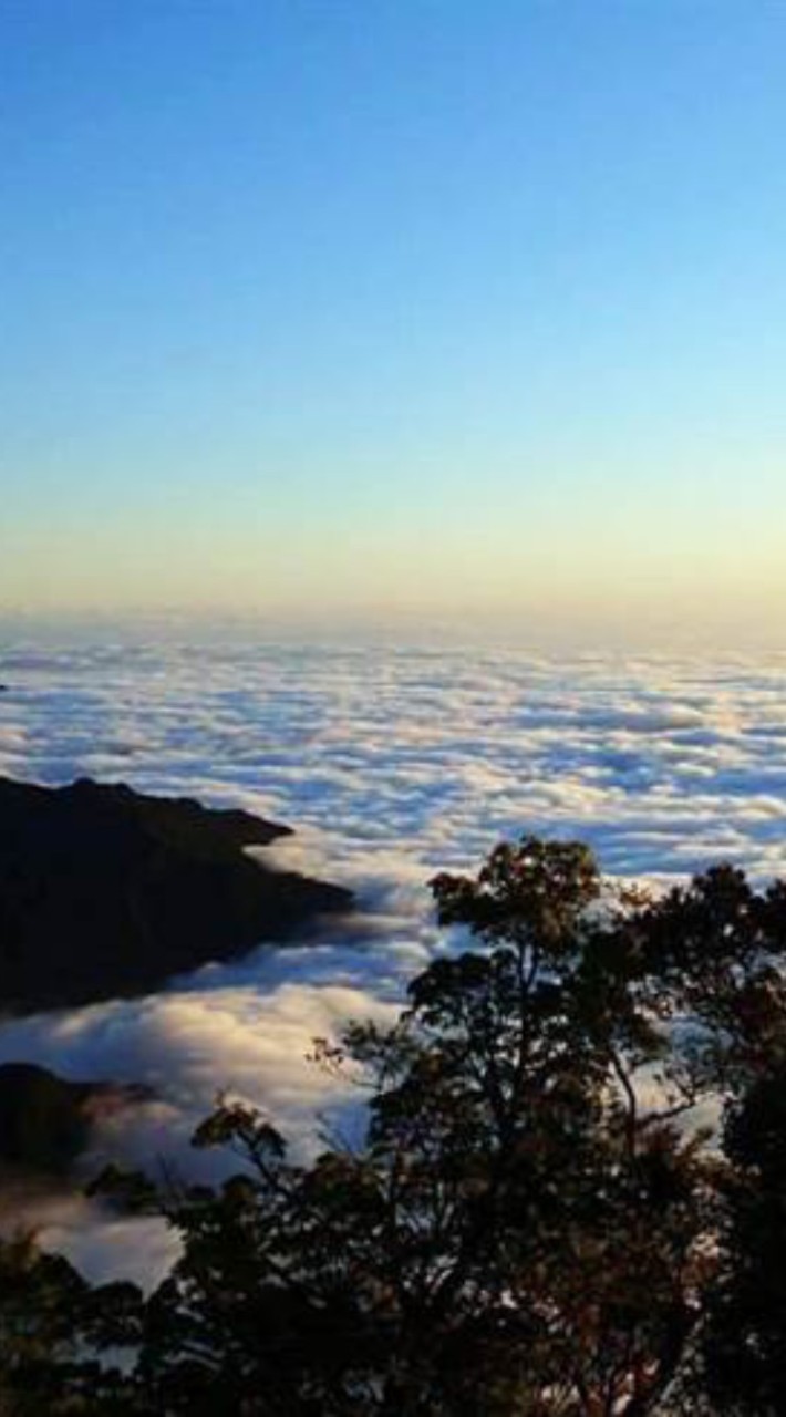 中級山百岳健行，自揪自組團