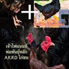 ซุ้ม A.K.R.D ไก่ชน สายพันธุ์ไก่เยียร์