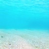 藍米克全人教育協會  最新訊息