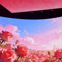 Ladyboss新女力時代課程資訊介紹群組