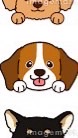 犬飼ってる人集合！