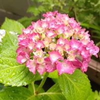 ⭐なんでも写真V.I.P.カフェ☕【全国版/大人編】⭐