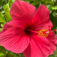 あとぴー肌結び🌺