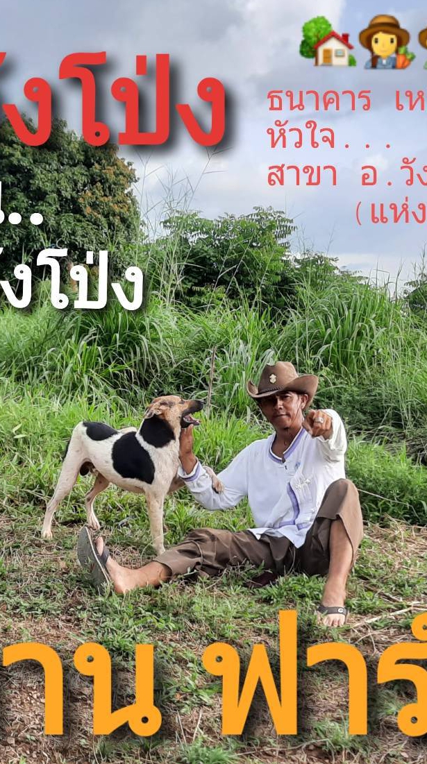 🎯"เกษตรอินทรีย์ คือ ความมั่นคงของมนุษย์" Thailand.