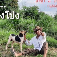 🎯"เกษตรอินทรีย์ คือ ความมั่นคงของมนุษย์" Thailand.