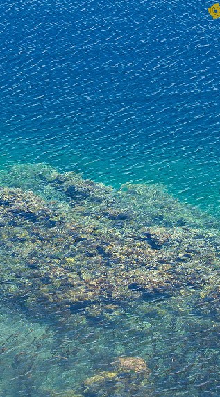 HSP の人の雑談場所🐣(10人制)