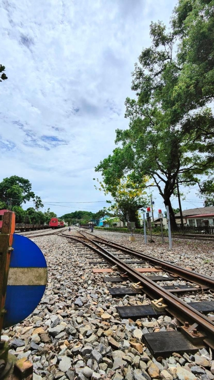 跨界行旅大阿里山同業群