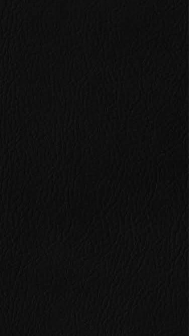 STPR･VOISINGマフィアパロ