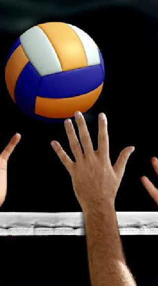 men's volleyball fan