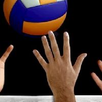men's volleyball fan