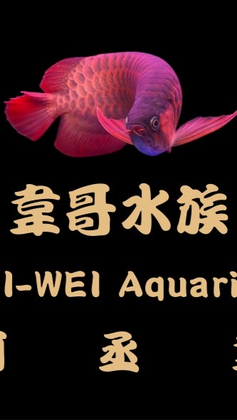 韋哥水族交流區