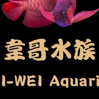 韋哥水族交流區