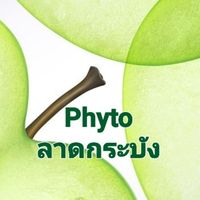 ด่านลาดกระบัง (งานส่งออก)