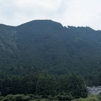 🌺大人の昼夜の会🌺へぃ= √(Live Talk² + Text²)∴Free