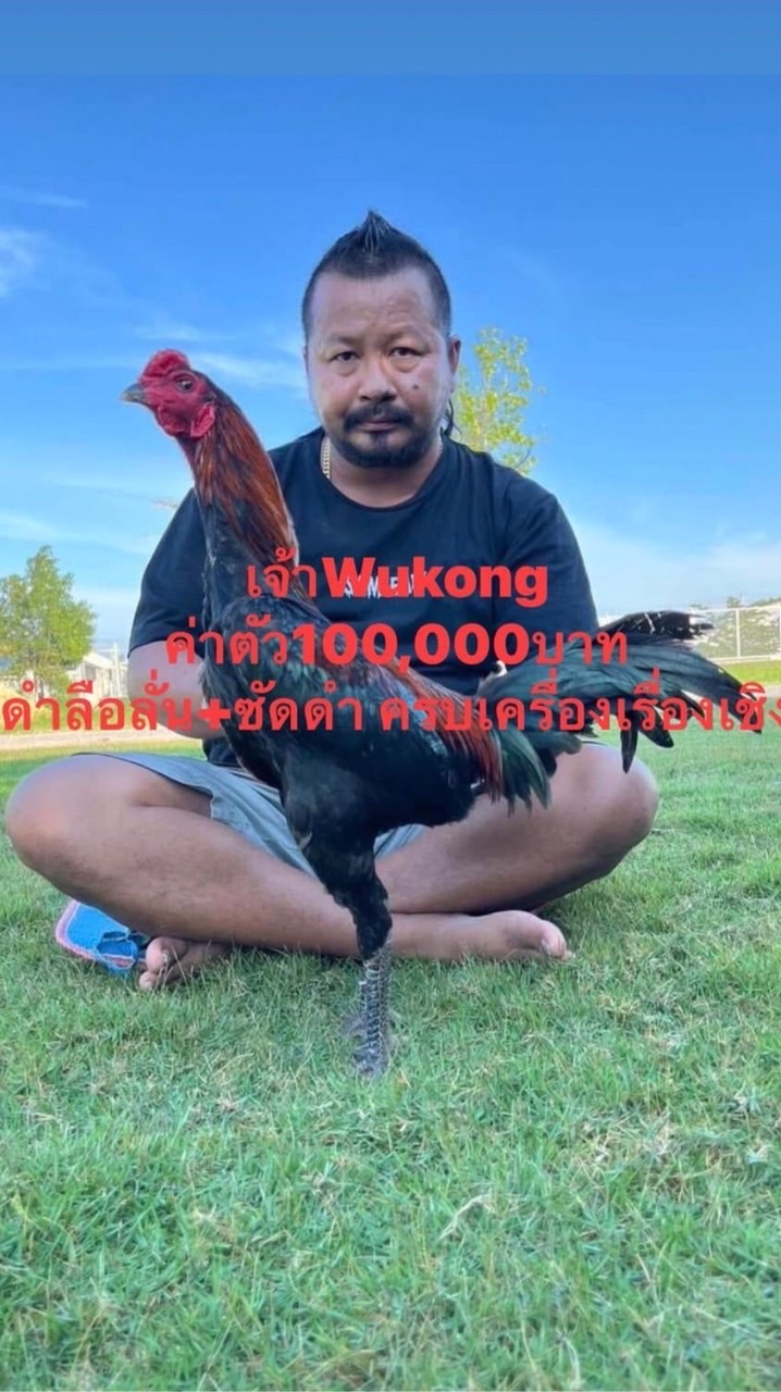 Patimakorn farm