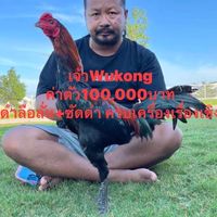 Patimakorn farm