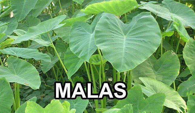 Receh Parah 28 Pelesetan Gambar Ini Bikin Kamu Mules Nahan Tawa