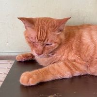 學習討論群『Like❸(●°u°●)​ 』