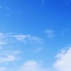 308家長閒聊群