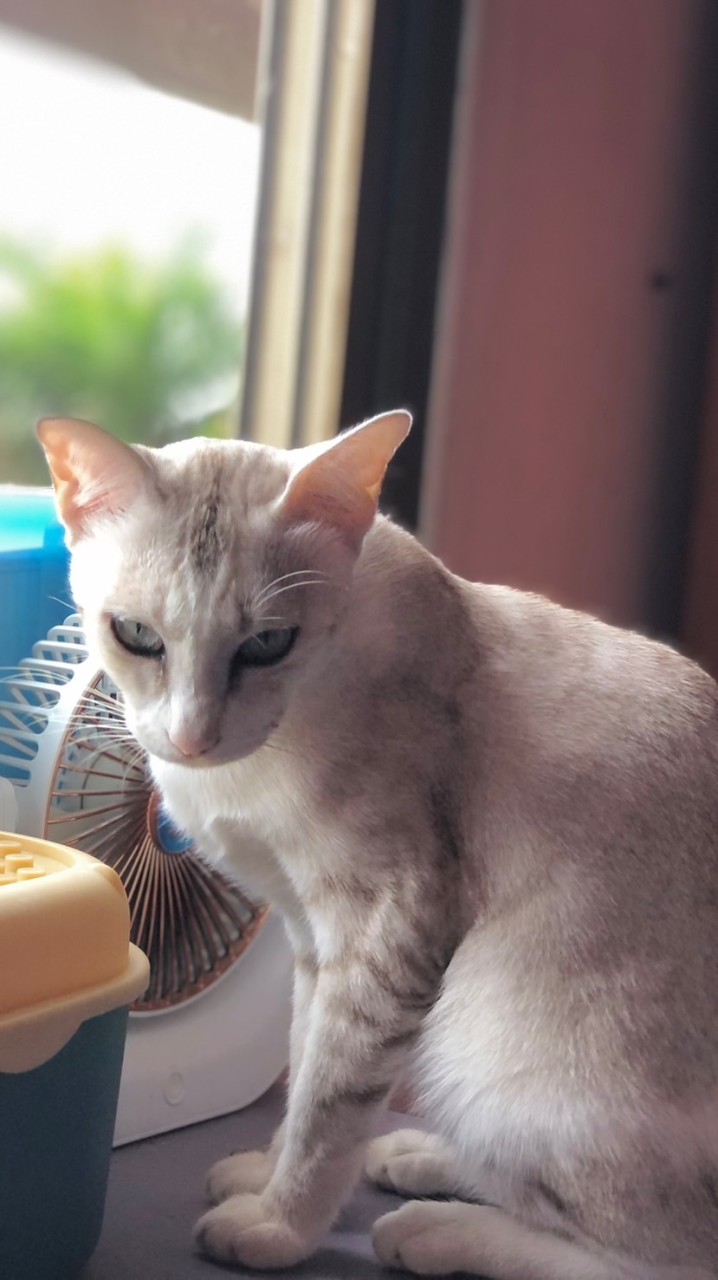 โดนด่าฉ่ำ