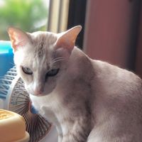 โดนด่าฉ่ำ