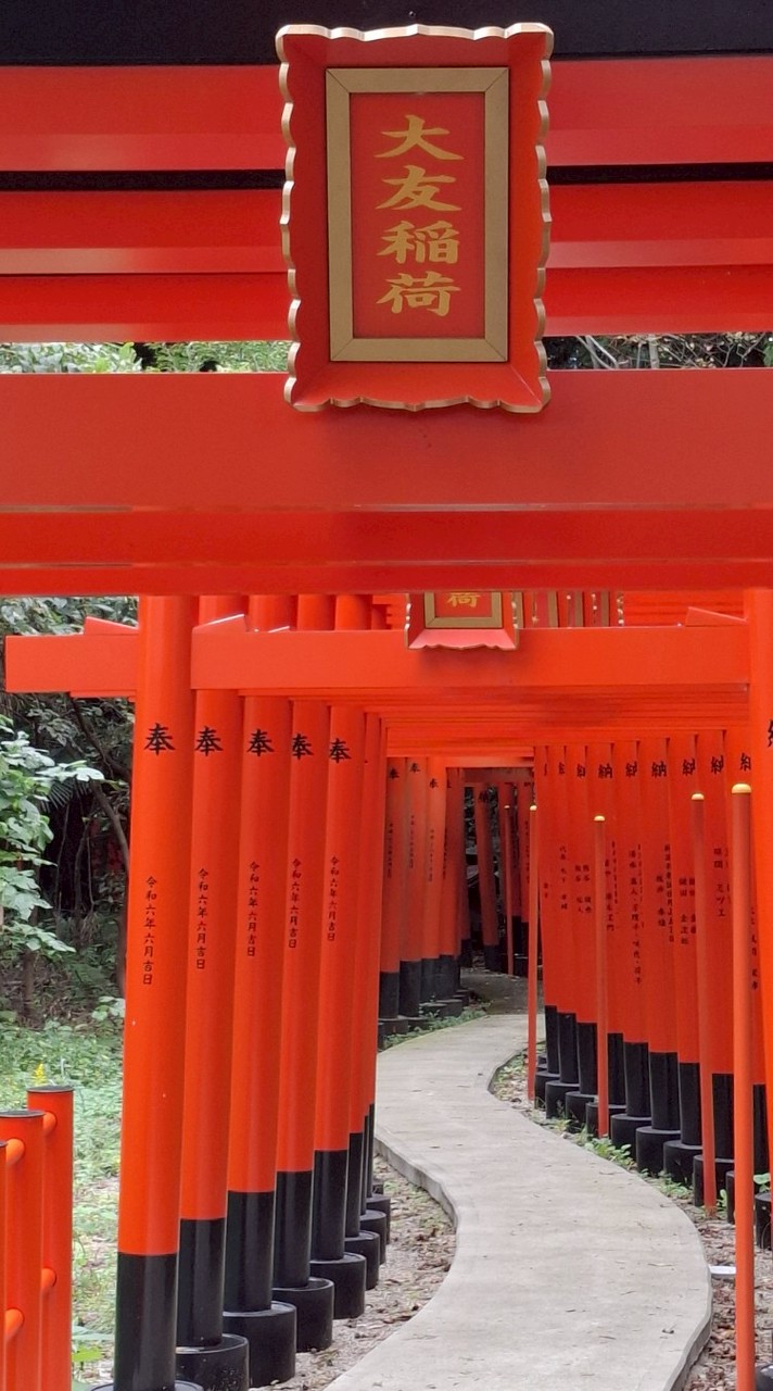 🌼６０代女性～オバンギャルの憩いの部屋🍓どうぞよろしく🌼