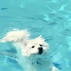 ⸝⸝୨୧ 浩想遇見霖🧸୨୧⸝⸝『備用群』