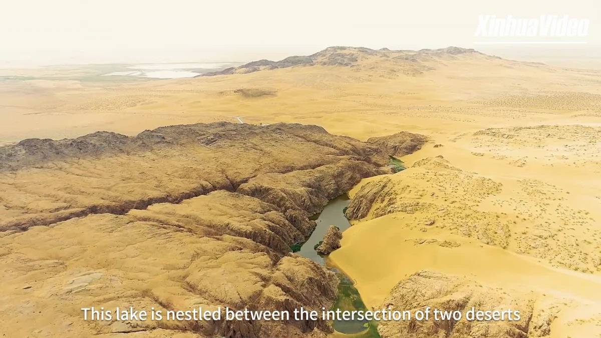 An Oasis In North China Desert | XINHUA | LINE TODAY