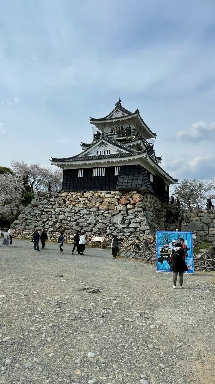 藤波研　集う会