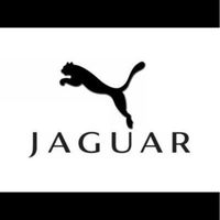 ジャガーオーナー交流の場