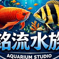 ML銘流水族 精品蘇門答臘虎