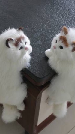 ざつだんclub🫵🏻