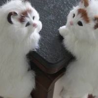 ざつだんclub🫵🏻