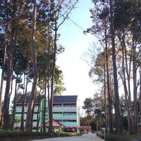 แอ๋วเมืองเหนือกันเจ้า