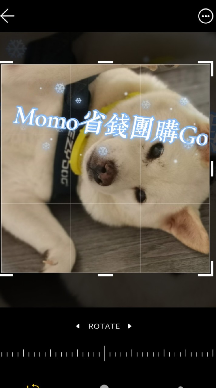 Momo省錢團購GO
