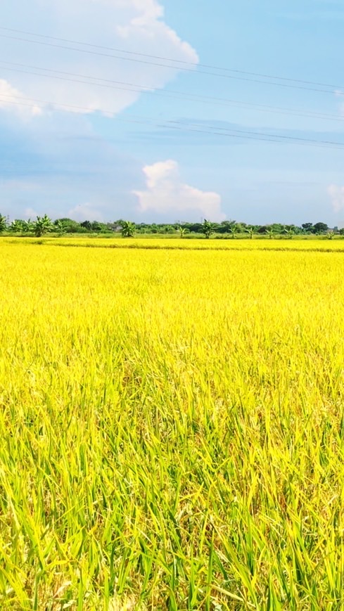 แชร์ภาพท่องเที่ยวและธรรมชาติ