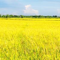 แชร์ภาพท่องเที่ยวและธรรมชาติ