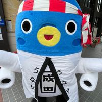 〜成田と周辺地域の情報交換&雑談〜